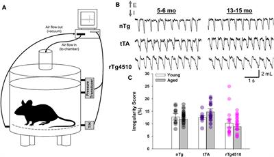 Progressive tauopathy disrupts breathing stability and chemoreflexes during presumptive sleep in mice